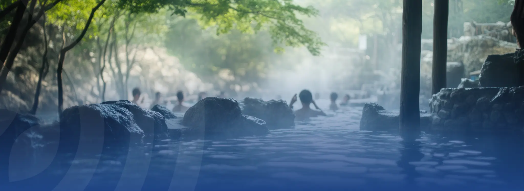 Medikal Wellness eğitimi - DMWV onaylı sertifika programı